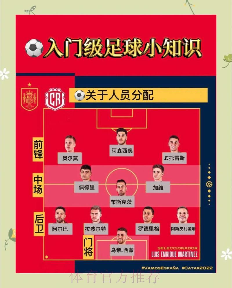 世界杯竞彩玩法全攻略：零基础入门必看手册