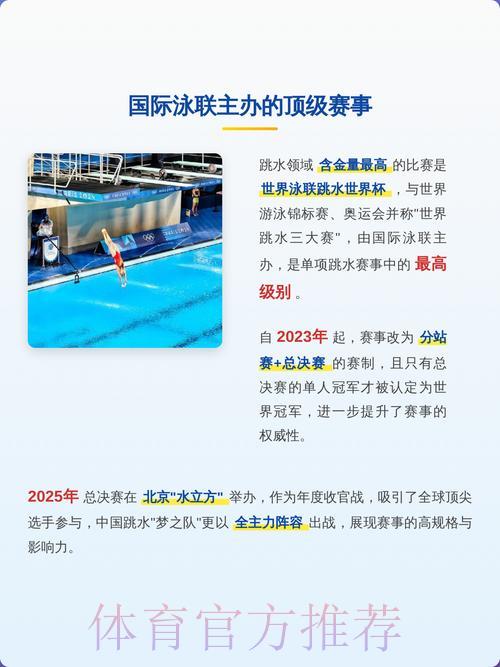 深度剖析全球顶尖世界杯赛事推荐与解析平台